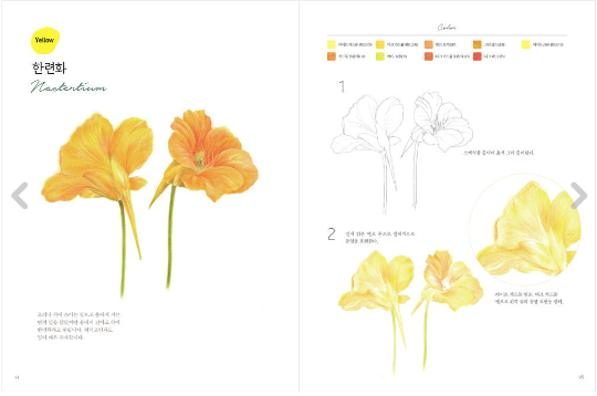 Botanical Art book by haeryun lee