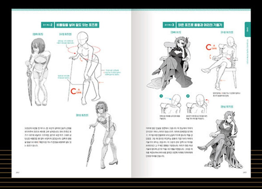 Theorem of Pose, Illustration Drawing Guide Book