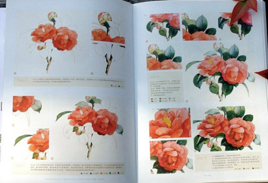 By the willow flowers & Juveniles - Chinese watercolor lesson book