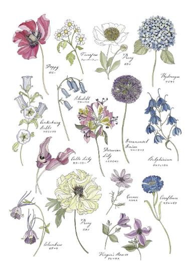 Floribunda A flower coloring book by Leila Duly
