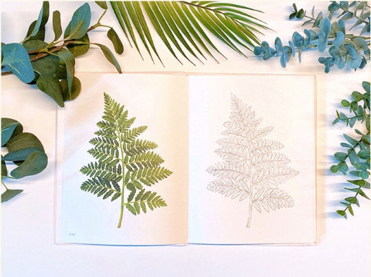 Botanical coloring book by jeonyr22