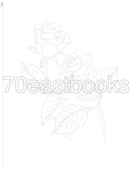 Flower Watercolor Coloring Book : Companion Plants Korean 꽃
