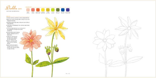 Lovely Flower Watercolor Coloring Book, Cypress