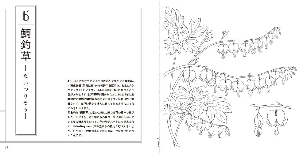 Flower of Edo period Coloring Book (2022)
