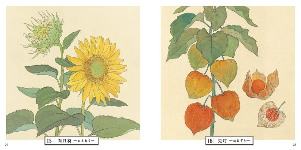 Flower of Edo period Coloring Book (2022)
