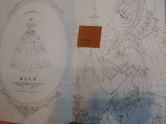 [COLORING] Coloring Book of the gorgeous wedding dress by Da Da Cat(da da mao)
