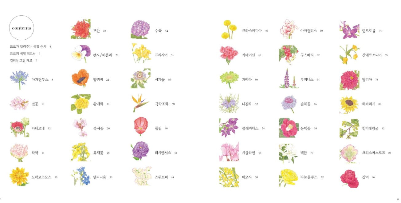 One flower drawing class per day Coloring Book