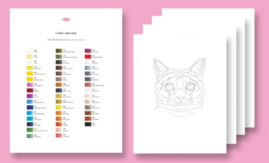 The Cat Colored Pencil Detailed Drawing Book by BB MOM