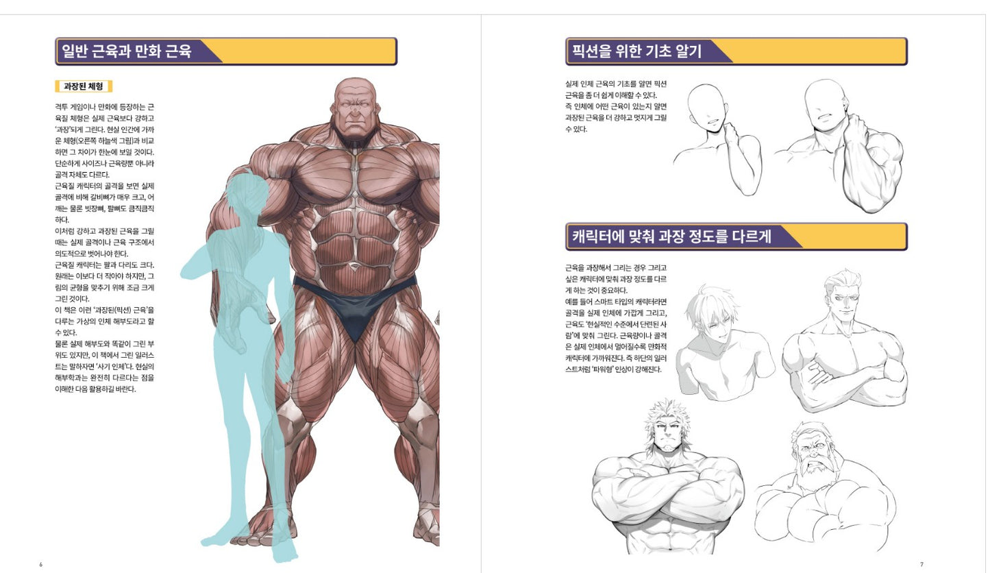 Strong muscle illustration technique Book