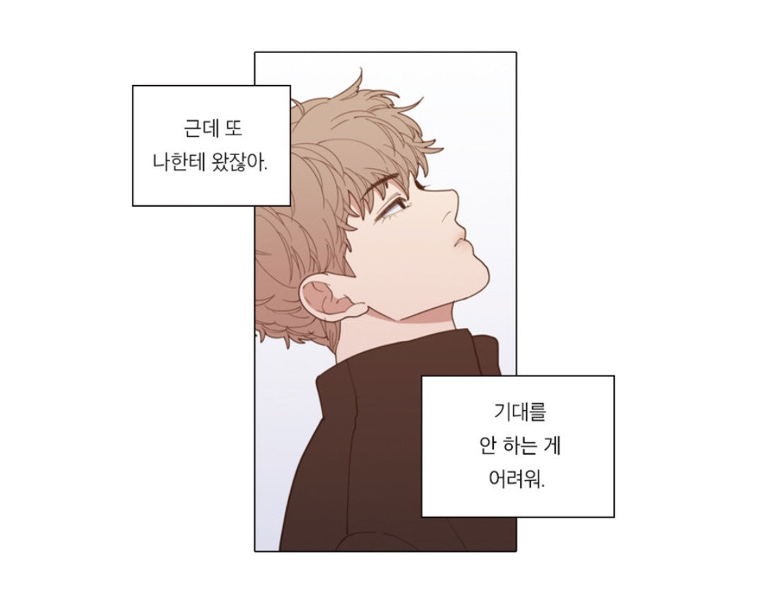 [LIMITED GIFT PROVIDED] Love or Hate manhwa series by Youngha, Bakdam [vol.4-5 set]