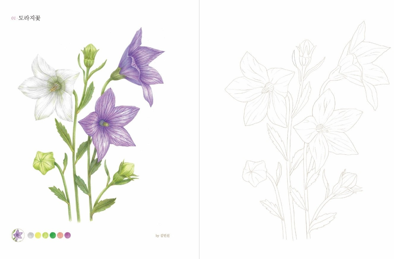 Easier Botanical Art Coloring Book: Wildflowers