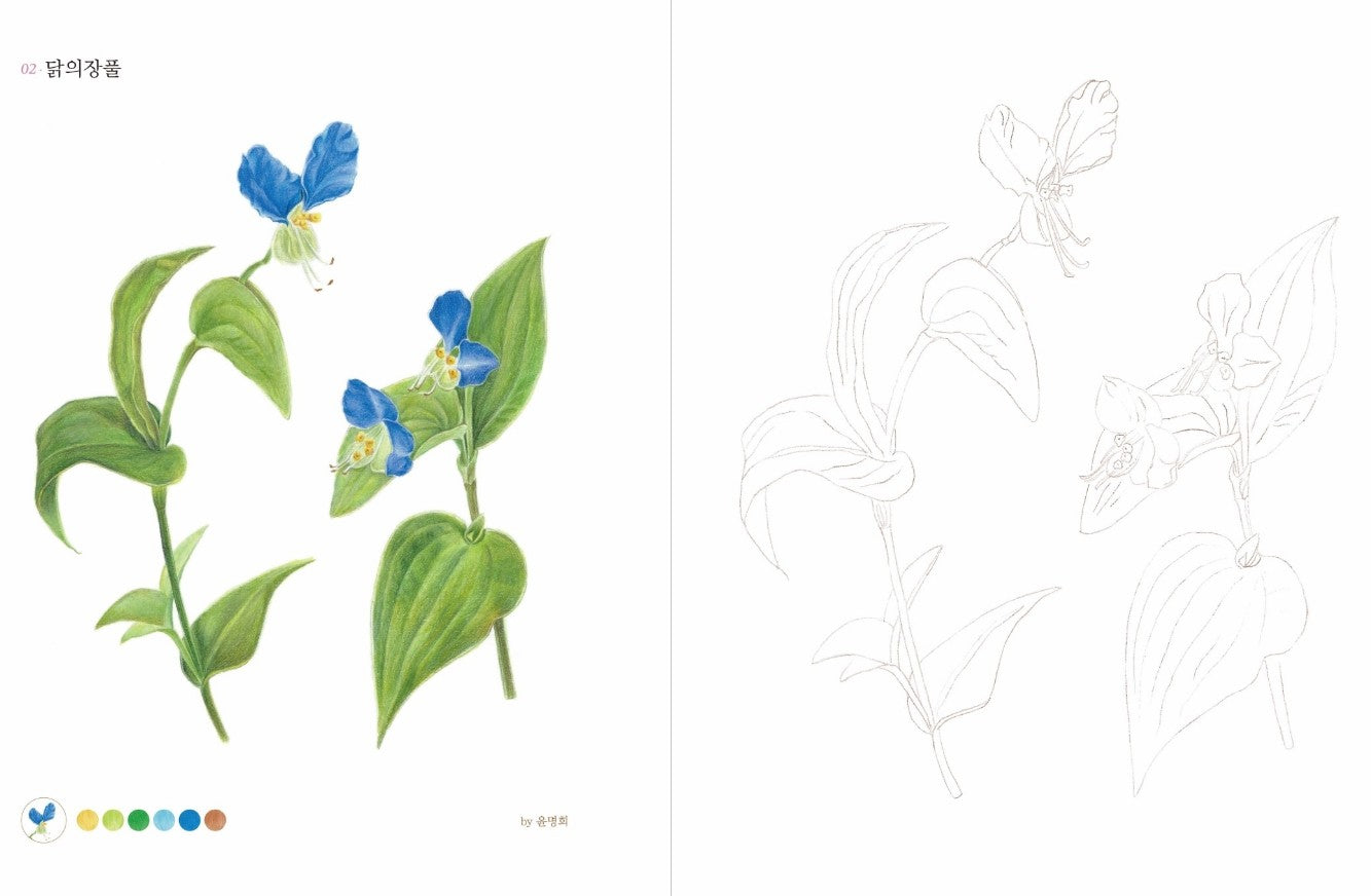 Easier Botanical Art Coloring Book: Wildflowers