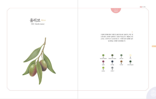 [out of print] Vegetable Botanical Art book by Jenny lee - Botanical Art Book