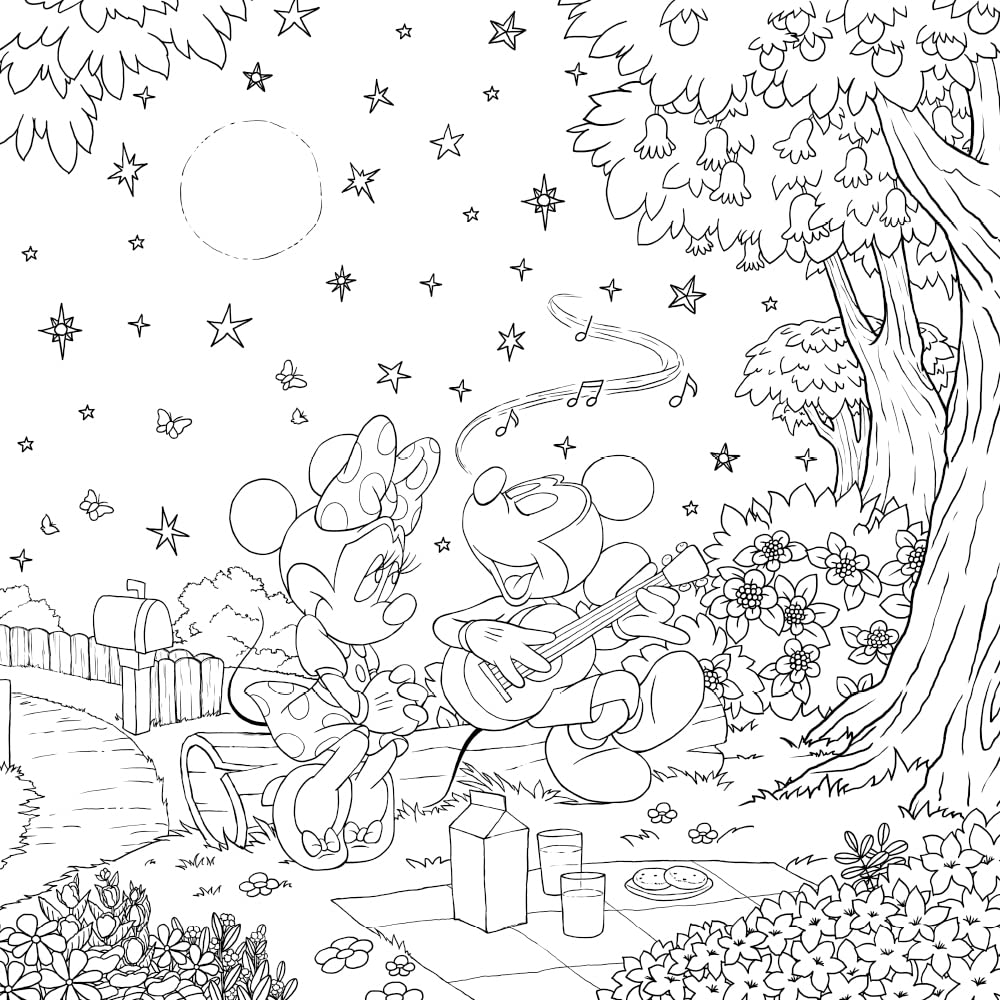 Gorgeous Disney coloring book : Feb 2022 release
