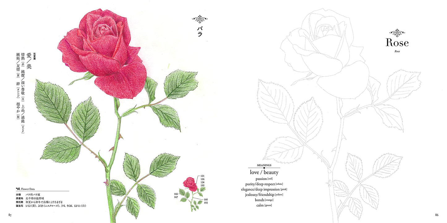 Flower language Japanese Coloring book by Michi Imai
