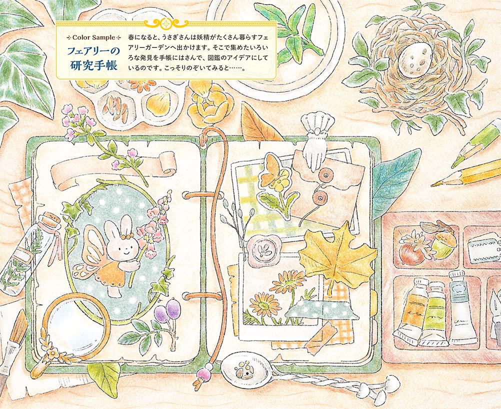 Cotolie a rabbit coloring book : Rabbit's Fairy Tale Coloring book by Cotolie
