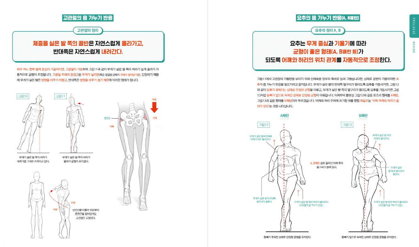 Theorem of Pose, Illustration Drawing Guide Book
