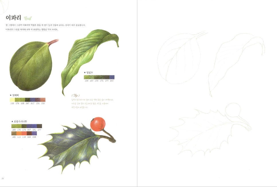 Botanical Art coloring book for colored pencil
