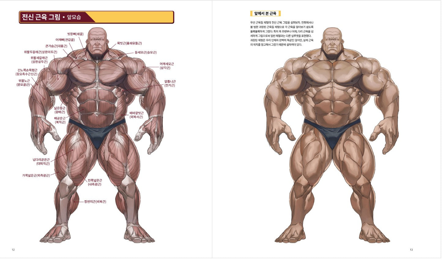 Strong muscle illustration technique Book – 70EastBooks