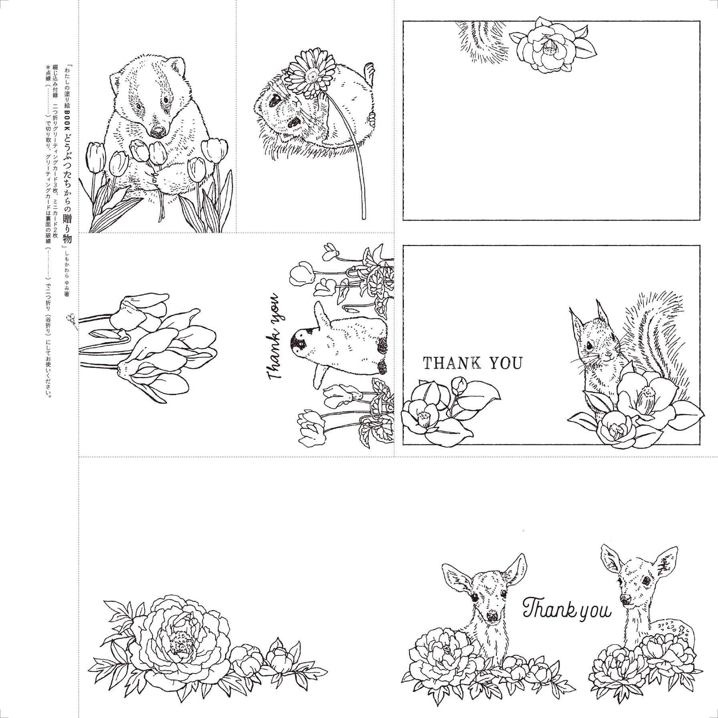 Birth of Animals and Flowers coloring book by Yumi Shimokawara