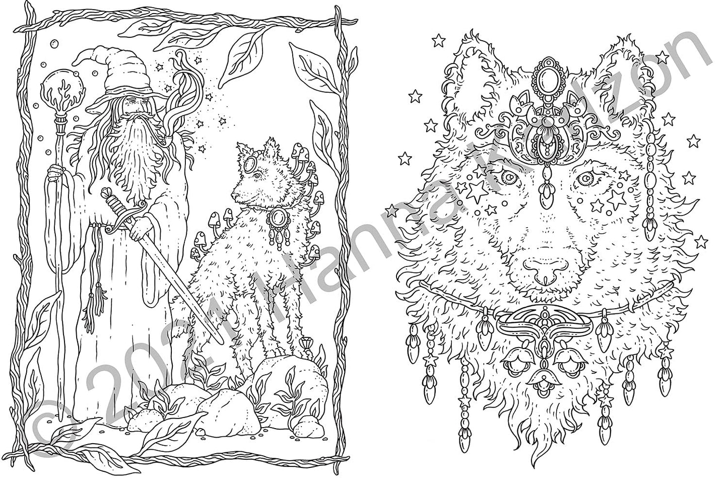 Tales from the Forest Kingdom Coloring Book by Hanna Karlzon