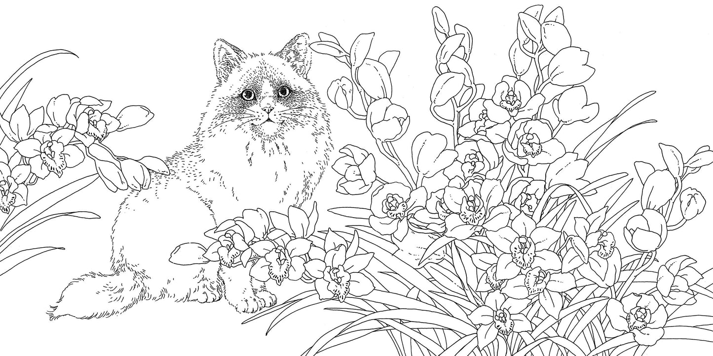 Birth of Animals and Flowers coloring book by Yumi Shimokawara