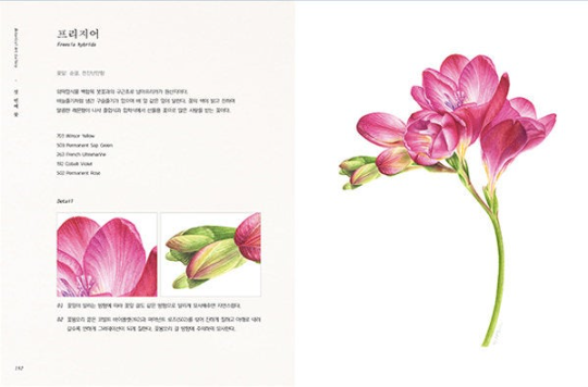 Botanical Art Painting with Watercolor by EJONG