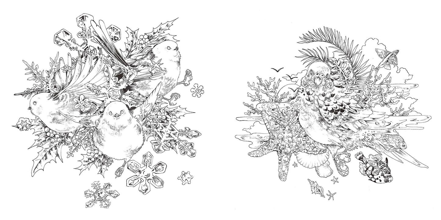 Ken Matsuda Artworks Coloring Book Animals Collection